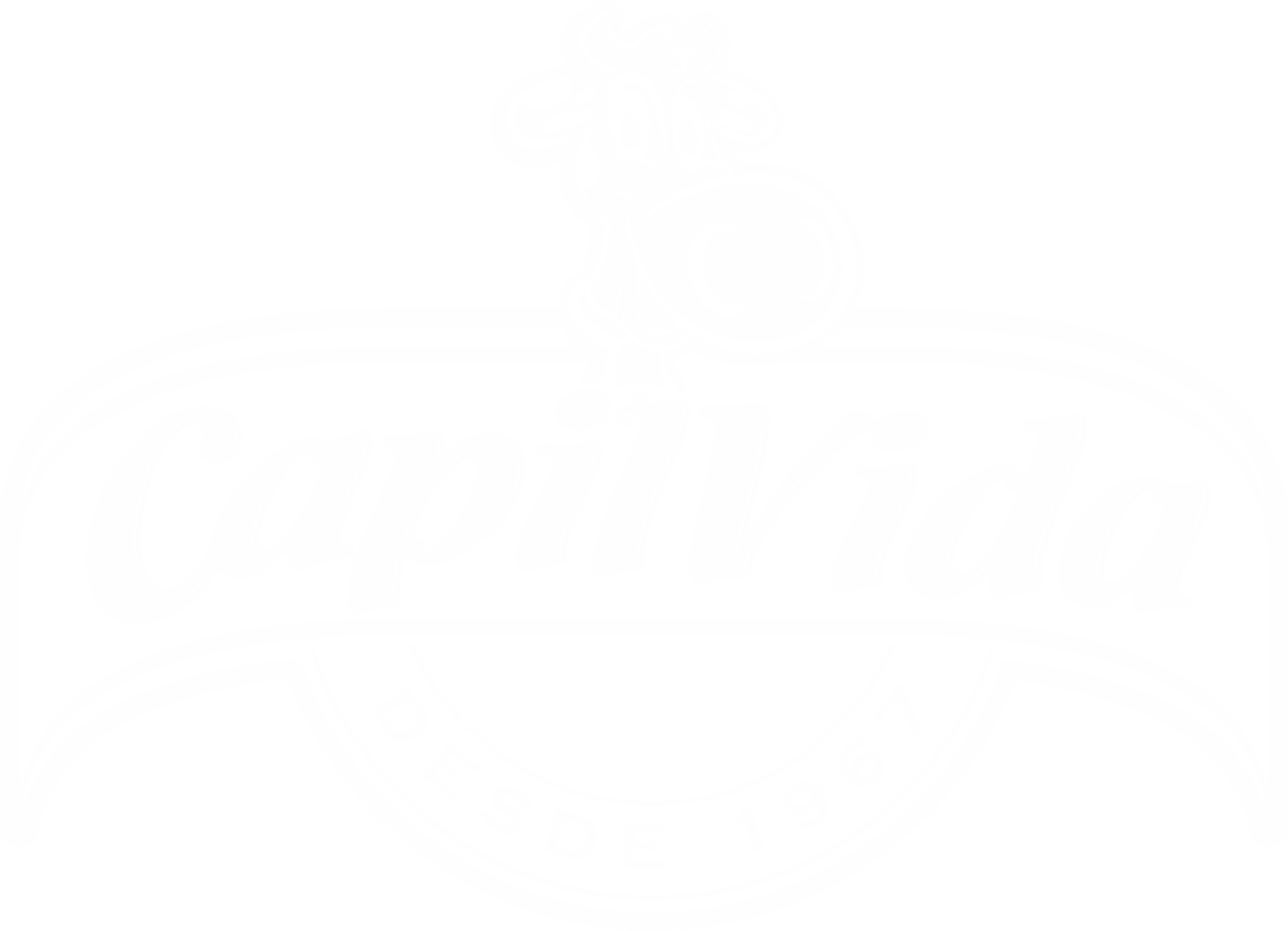 Capilvida