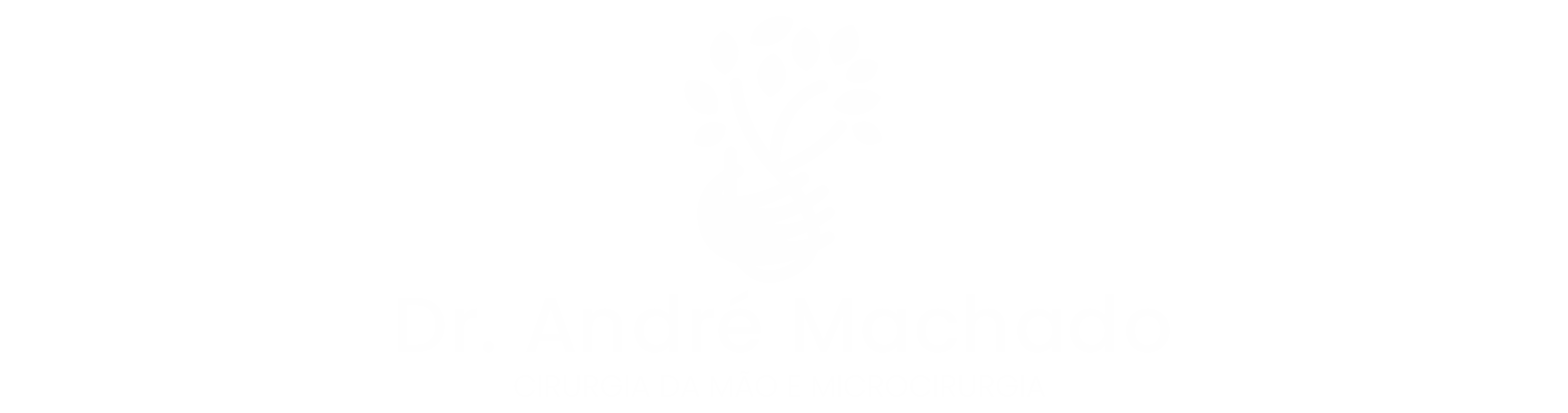 Dr. Andre Machado